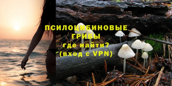 мяу мяу мука Алексин