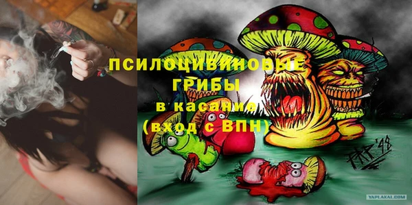 прущая мука Алзамай