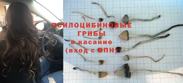 прущие грибы Алексеевка