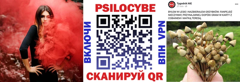 Галлюциногенные грибы ЛСД  omg рабочий сайт  Ессентукская 
